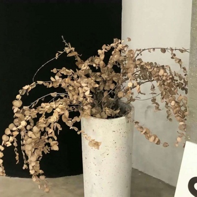 Furry创作素材整理兽圈群